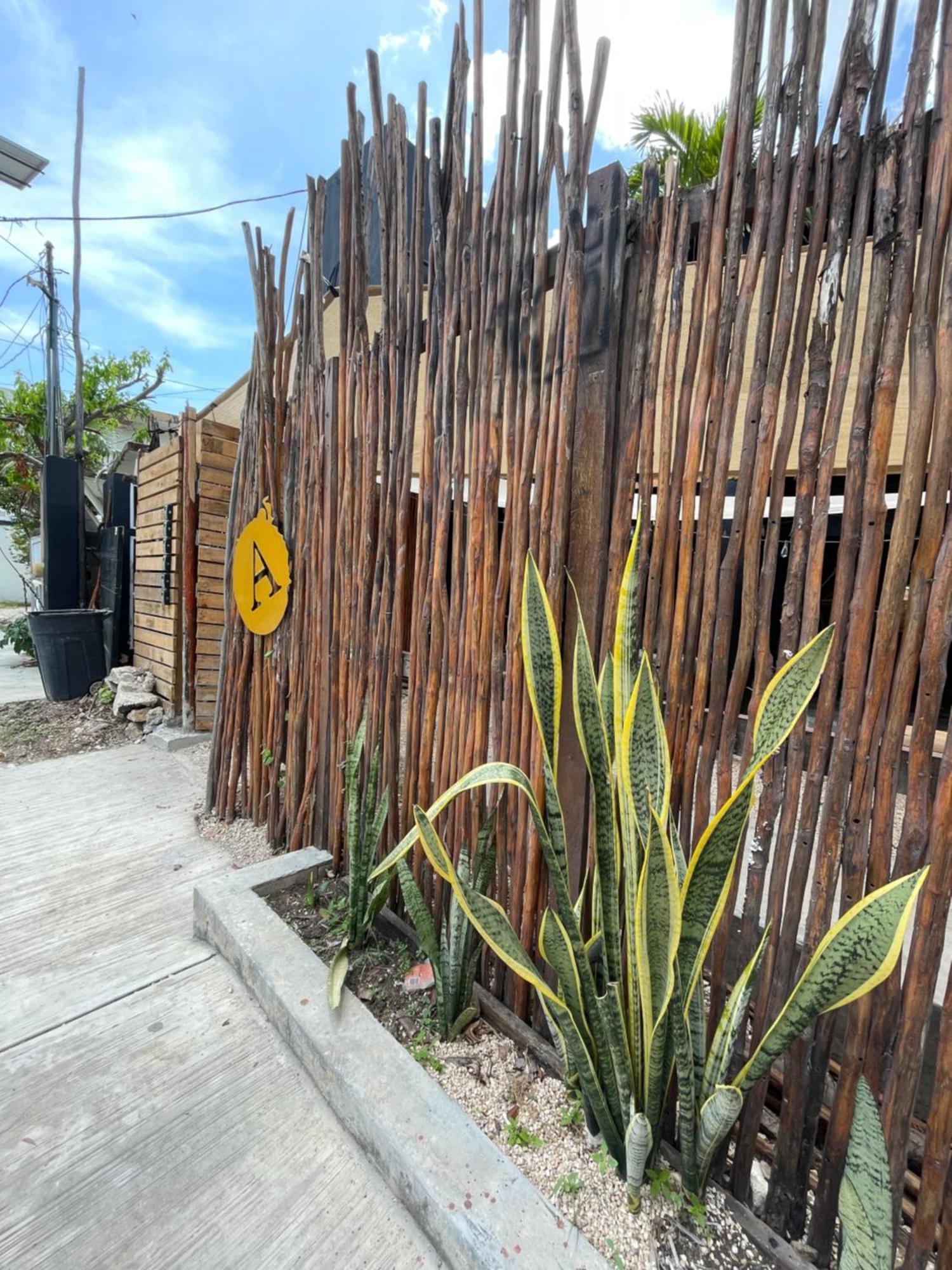 Aroma Tulum & Beach Club Exterior photo